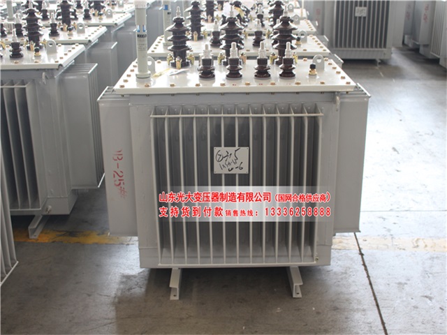 菏泽S11-6300KVA油浸式变压器